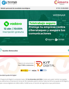 Teletrabajo seguro: Protege tu empresa contra ciberataques y asegura tus comunicaciones. Boletín nª151 
