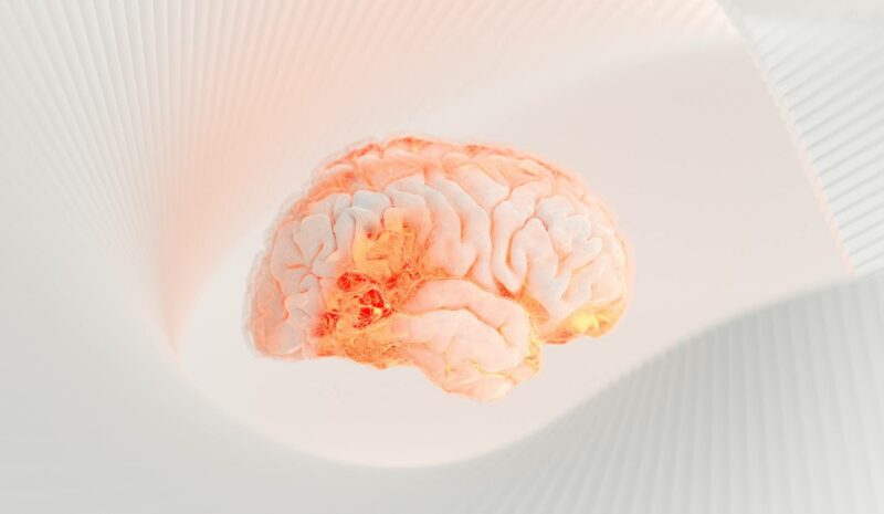 Desarrollan un sistema de diagnóstico cerebral con Inteligencia Artificial