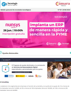 Implanta un ERP de manera rápida y sencilla en la PYME. Boletín 181