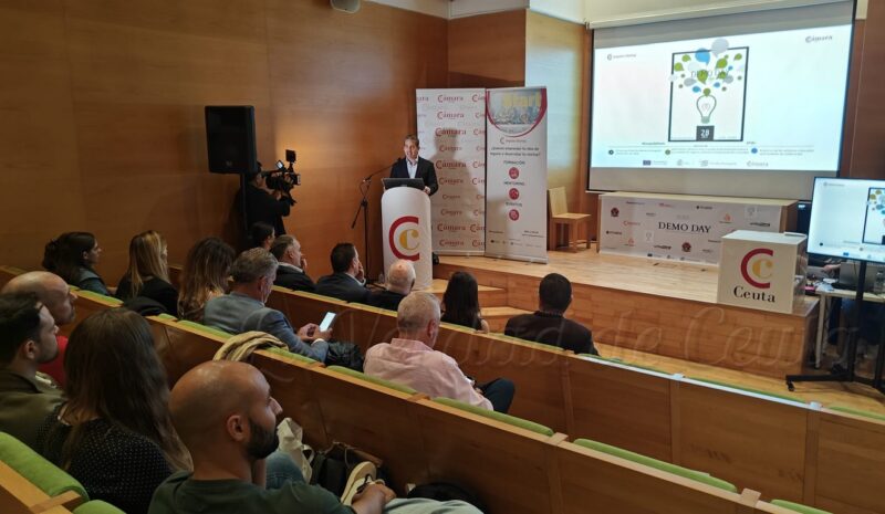 Programa Impulsa Startup 2026: Fase Despega